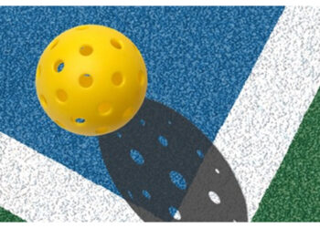 Pickleball ball and court