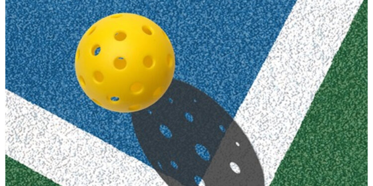 Pickleball ball and court